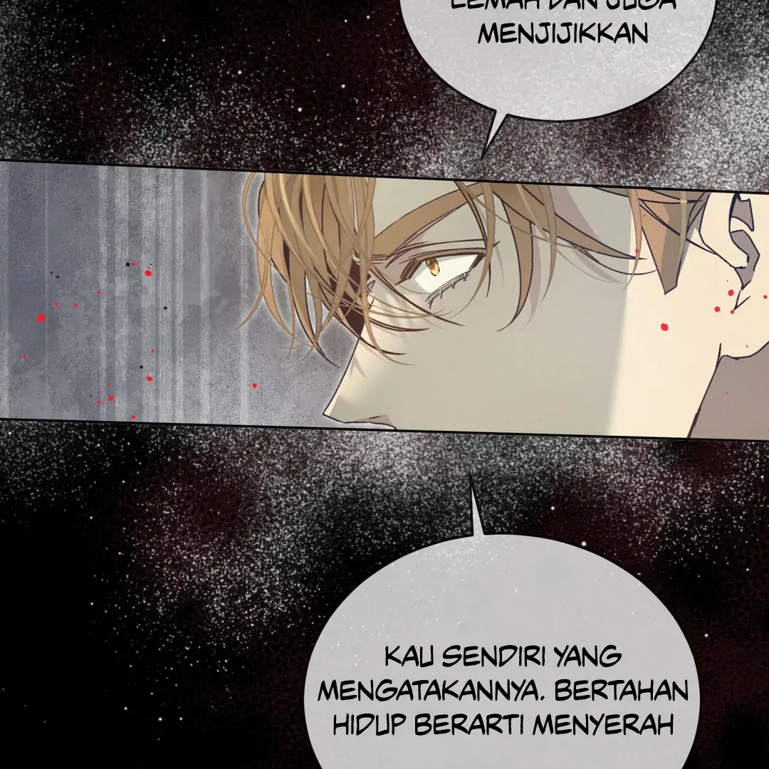 68901912 1080 1080 127954